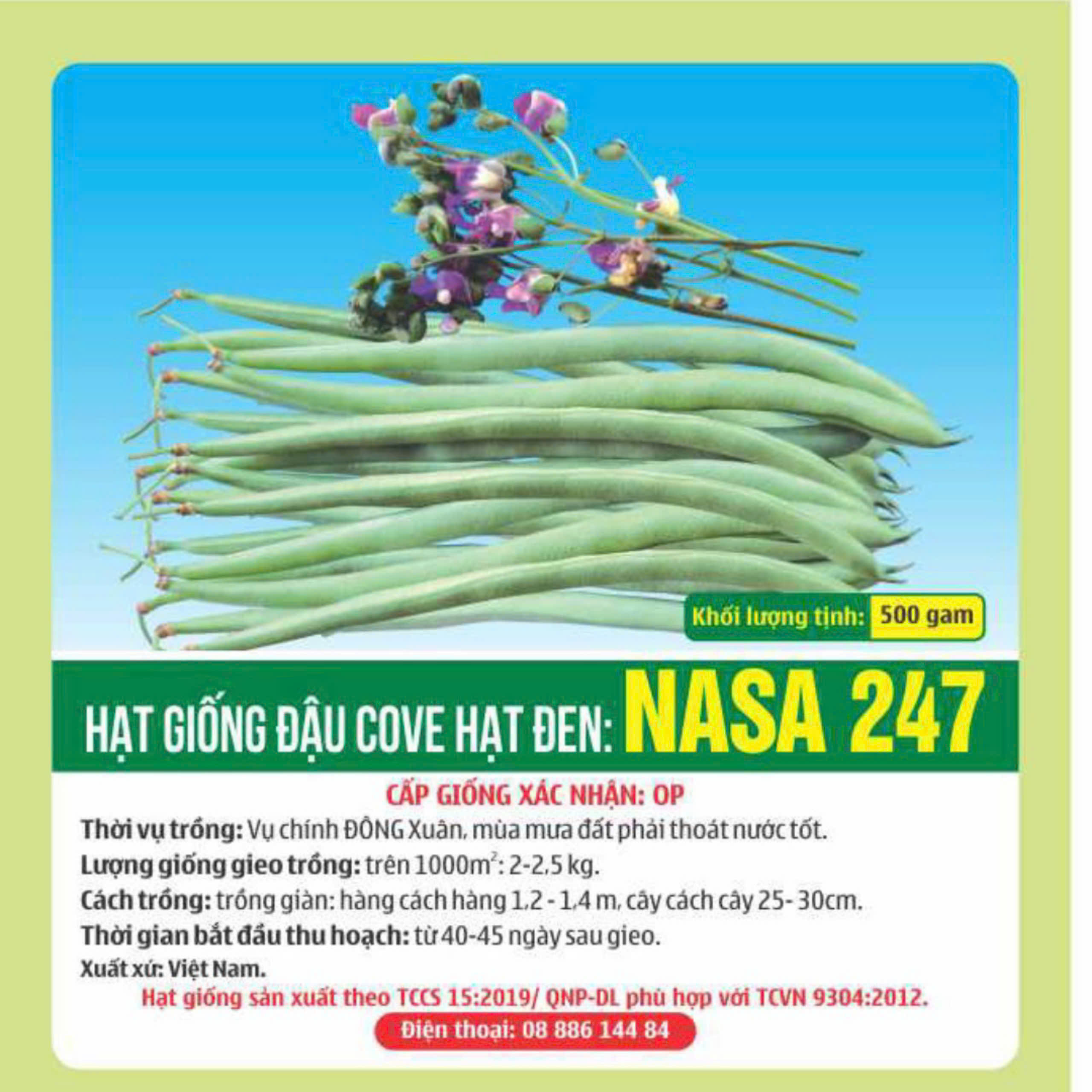 hat-giong-dau-cove-hat-den-nasa-247-cap-giong-op